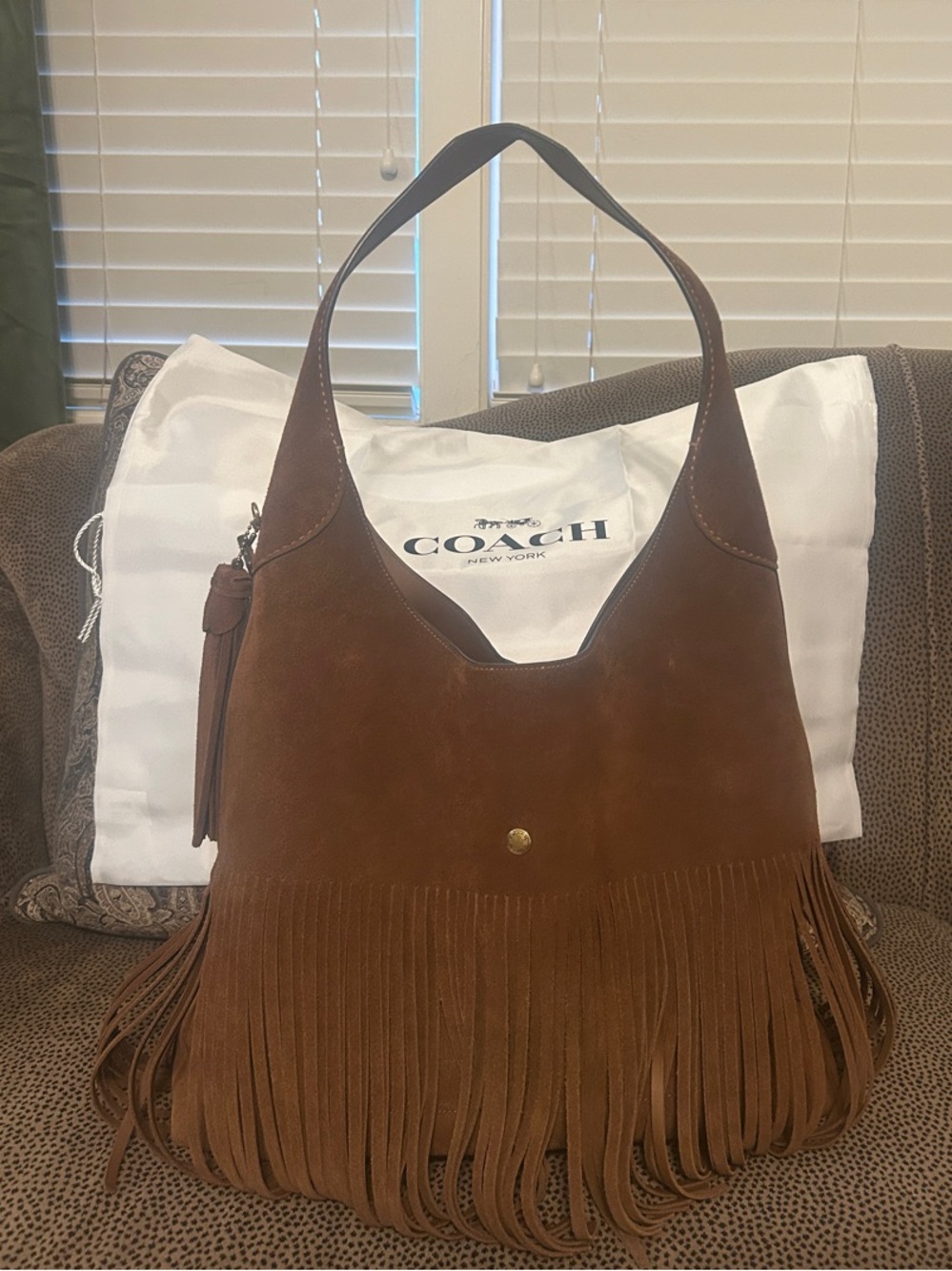 Coach Brooklyn Suede Fringe Shoulder Bag